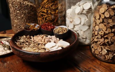 Układ pokarmowy i trawienie – holistyczne wsparcie terapeutyczne metodami medycyny chińskiej